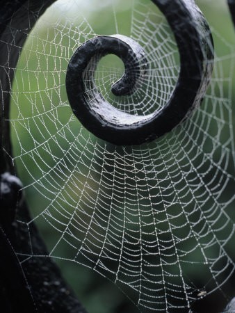 The Web We Weave